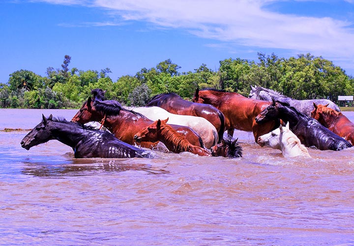 El Pimpollal | Turismo y eventosa